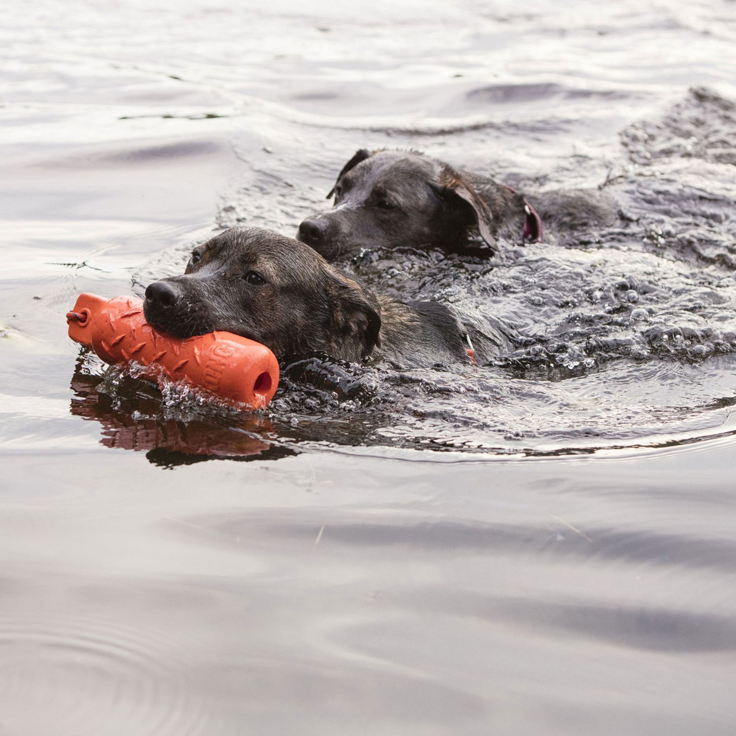 JOUET CHIEN - Training KONG Dummy Flottant