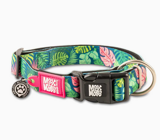 SELLERIE CHIEN - Collier Max&Molly Tropical