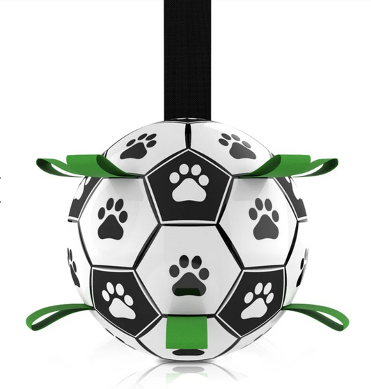 JOUET CHIEN - Ballon Foot Multi-prises