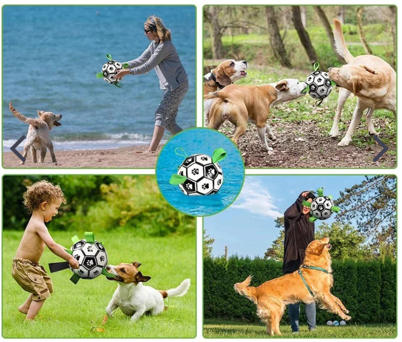 JOUET CHIEN - Ballon Foot Multi-prises