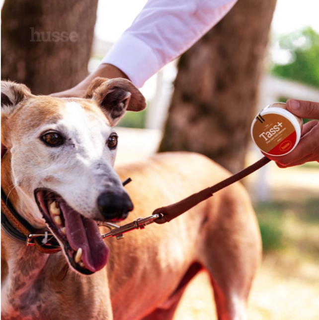 SOIN CHIEN - Baume pour coussinets et truffe