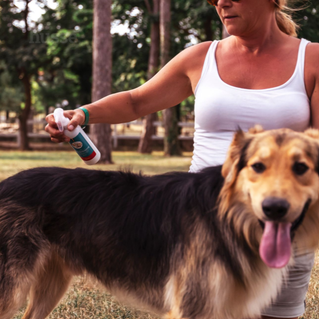 SOIN CHIEN ET CHAT - Spray de Toilettage Démêlant