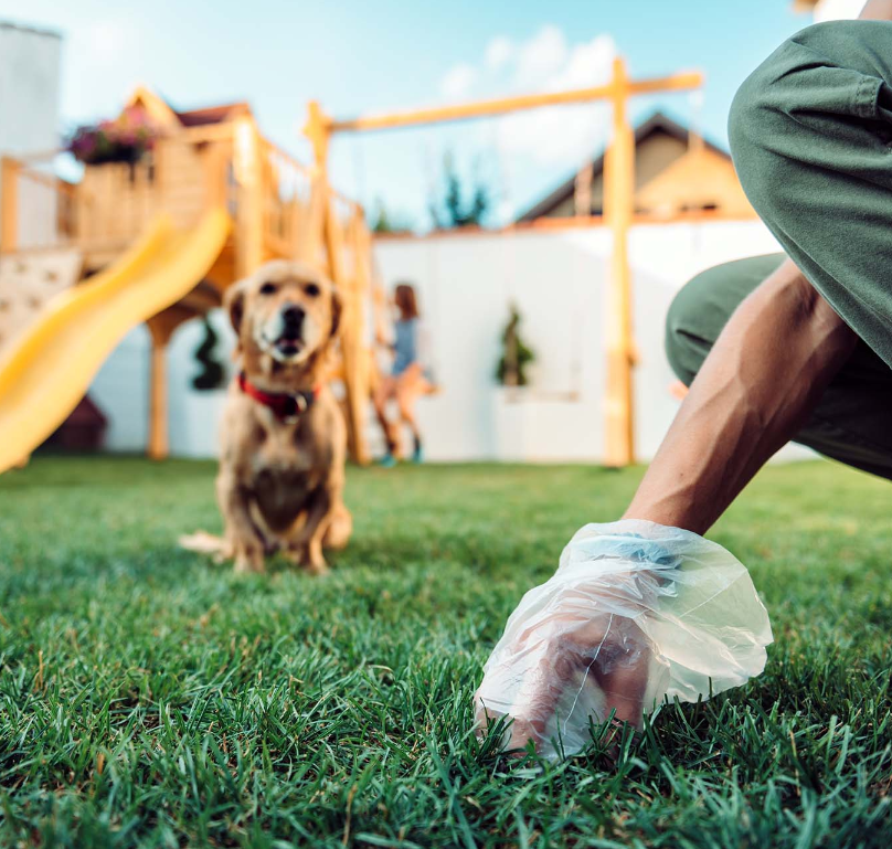 HYGIENE CHIEN - Sacs biodégradables pour déjections canines