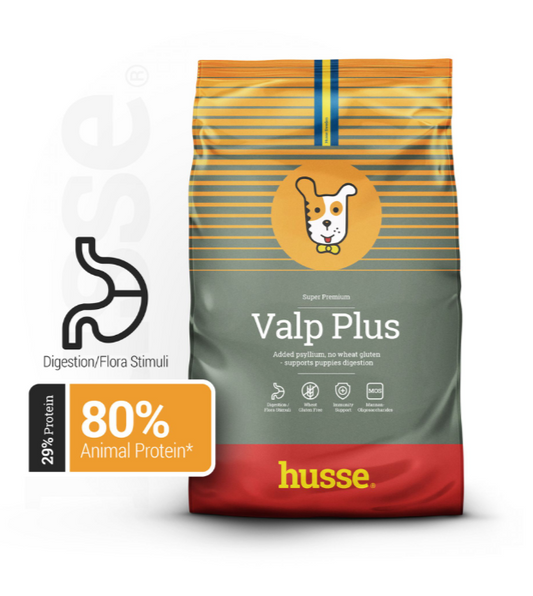 ALIMENTATION CHIOT - Croquettes pour Chiots Sans Gluten | Valp Plus