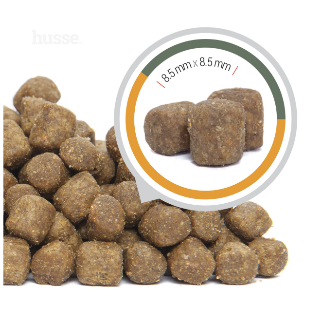 ALIMENTATION CHIOT - Croquettes pour Chiots Sans Gluten | Valp Plus