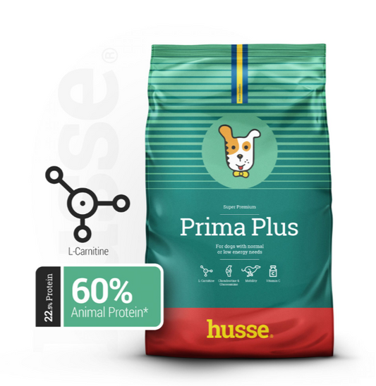 ALIMENTATION CHIEN ADULTE - Activité Normale | Prima Plus