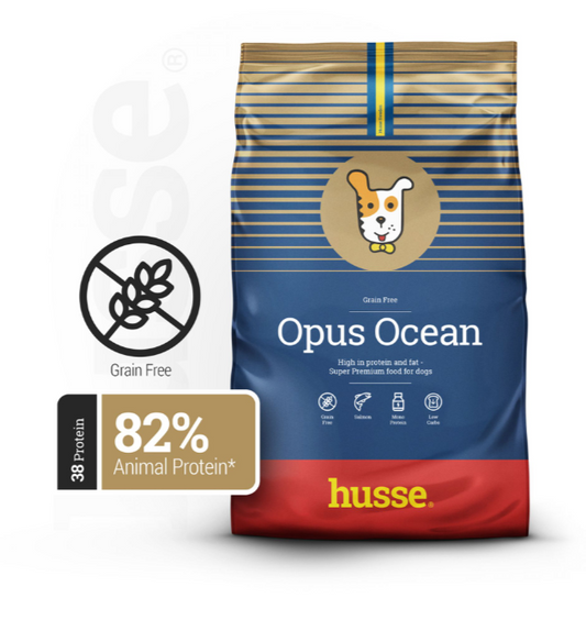 ALIMENTATION CHIEN ADULTE - Sans céréale | Opus Ocean