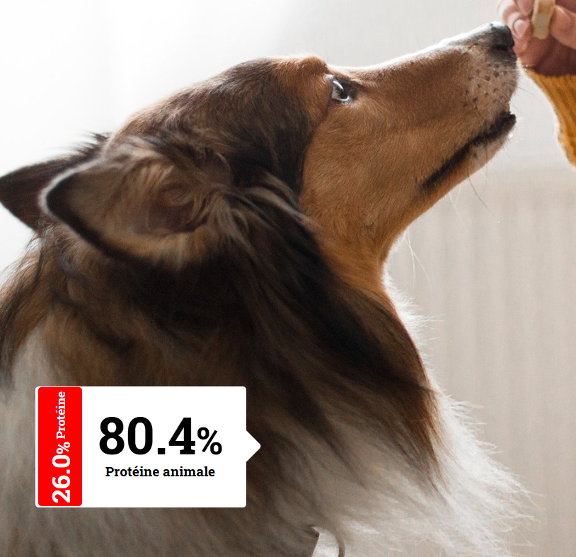 ALIMENTATION CHIEN ADULTE - En Surpoids & Digestion Sensible | Light Sensitive