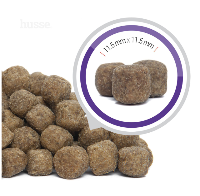 ALIMENTATION CHIEN SENIOR - Chiens Agés | Senior