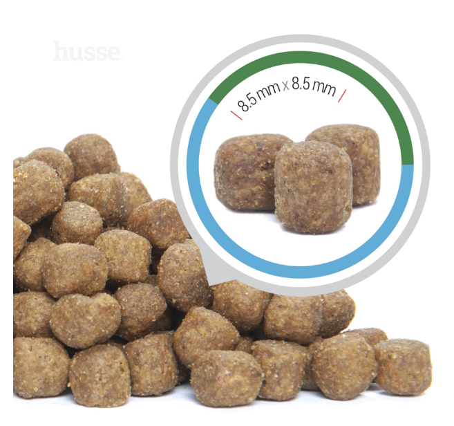 ALIMENTATION CHIEN ADULTE MINI - Actifs | Optimal Mini