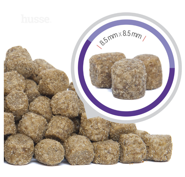 ALIMENTATION CHIEN ADULTE MINI - Agés | Senior Mini